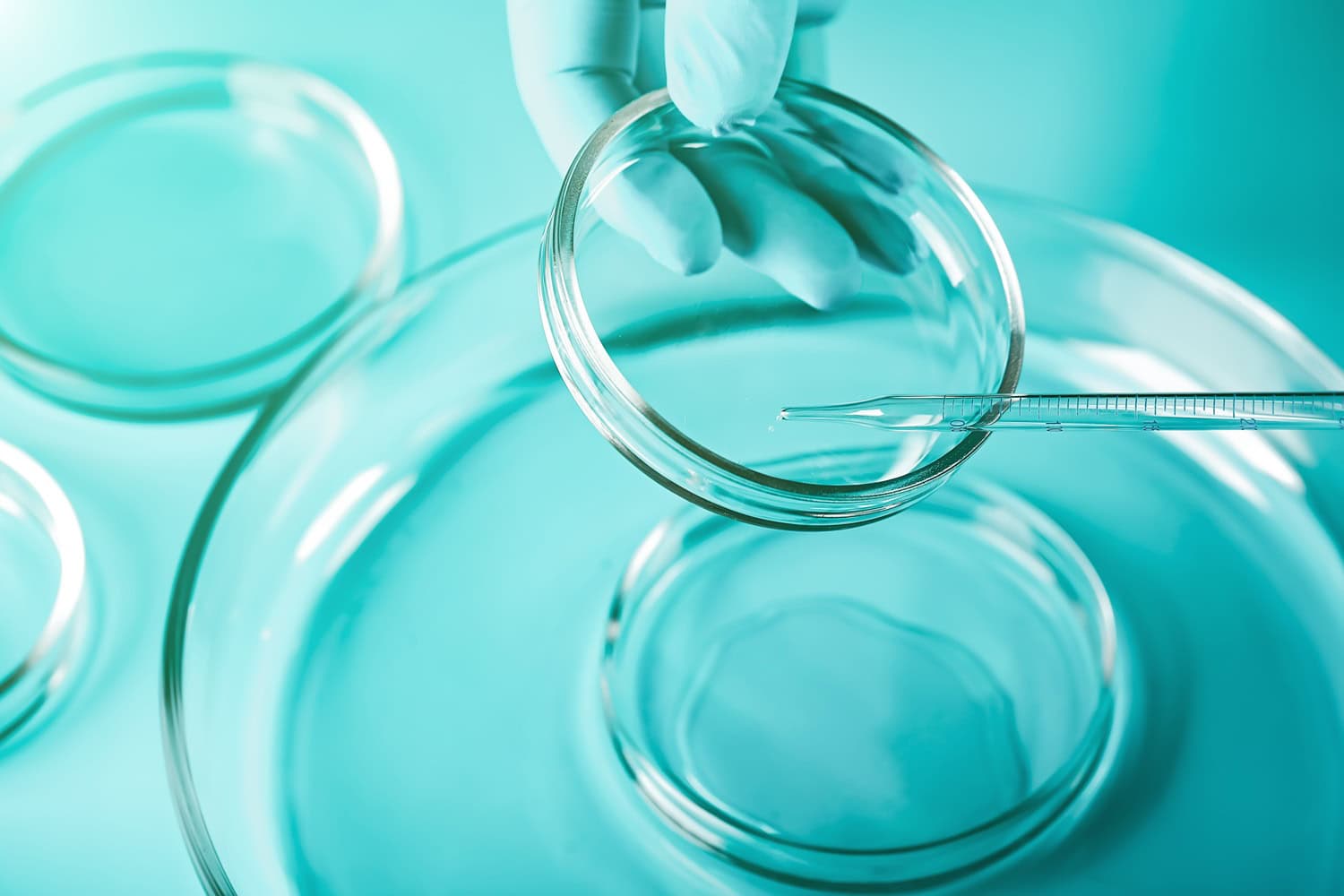 Medical abstract background. Petri dishes and glass pipette.