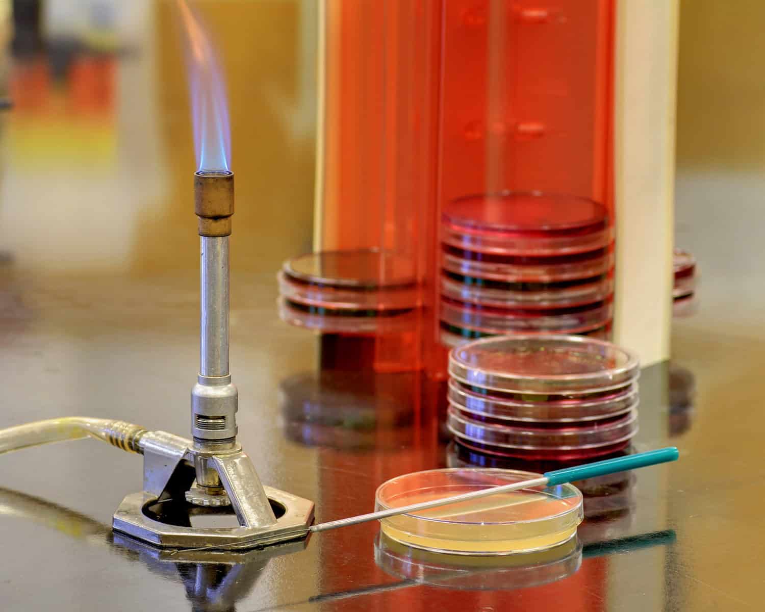 Equipment in a microbiology lab